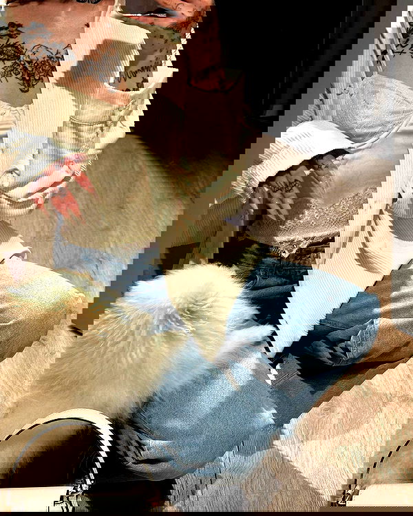 meleeva meleeva archive image