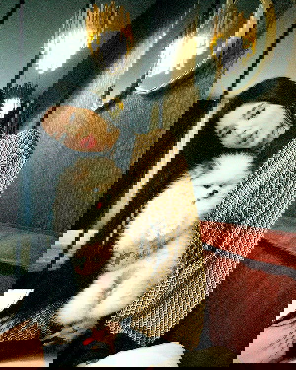 meleeva meleeva archive image