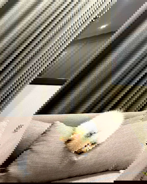 meleeva meleeva archive image