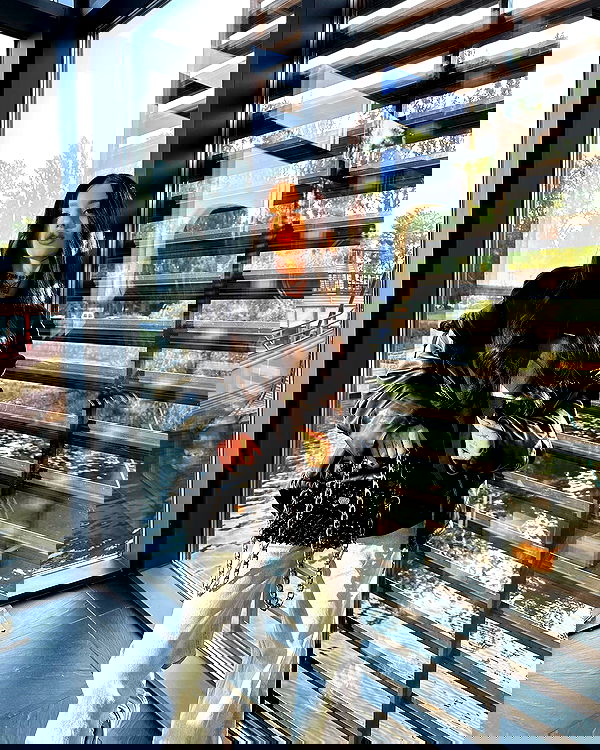 meleeva meleeva archive image