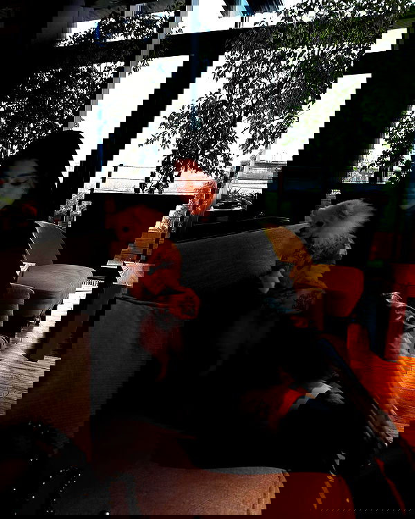 meleeva meleeva archive image