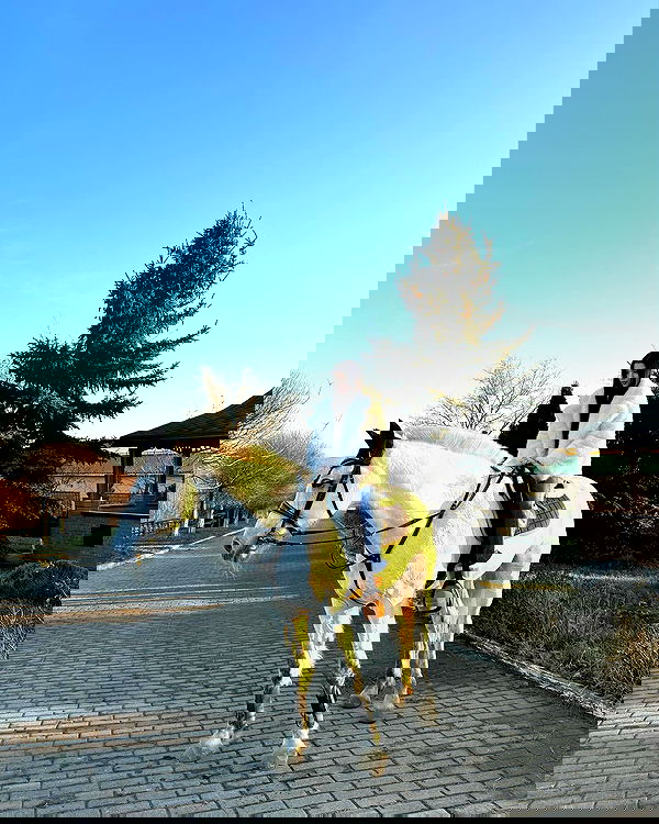 meleeva meleeva archive image