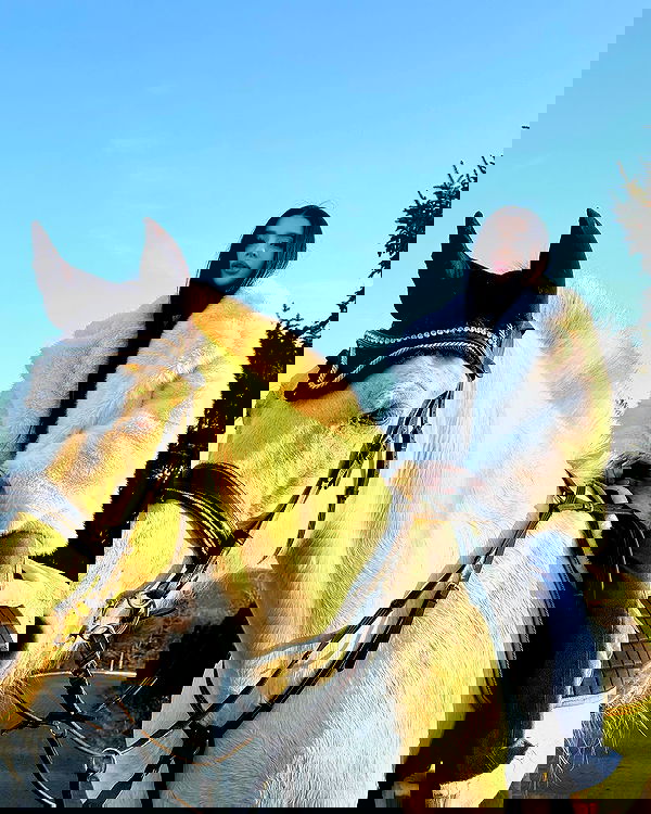 meleeva meleeva archive image