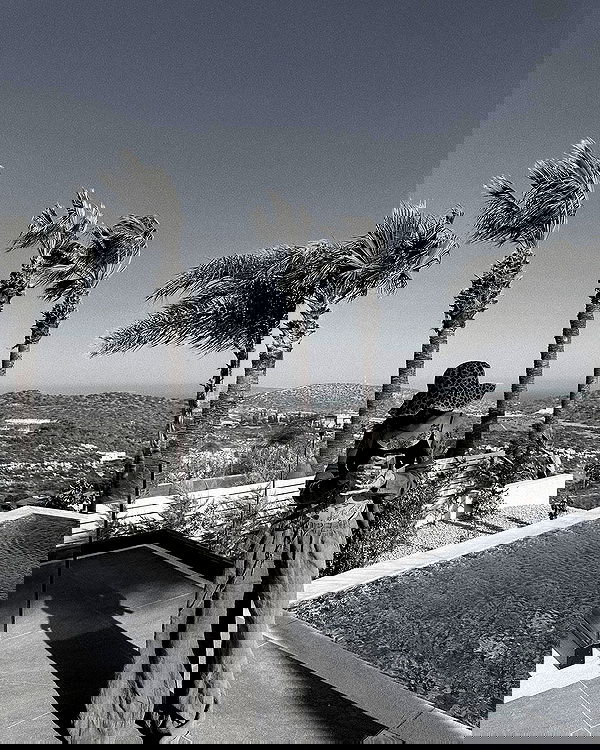 meleeva meleeva archive image