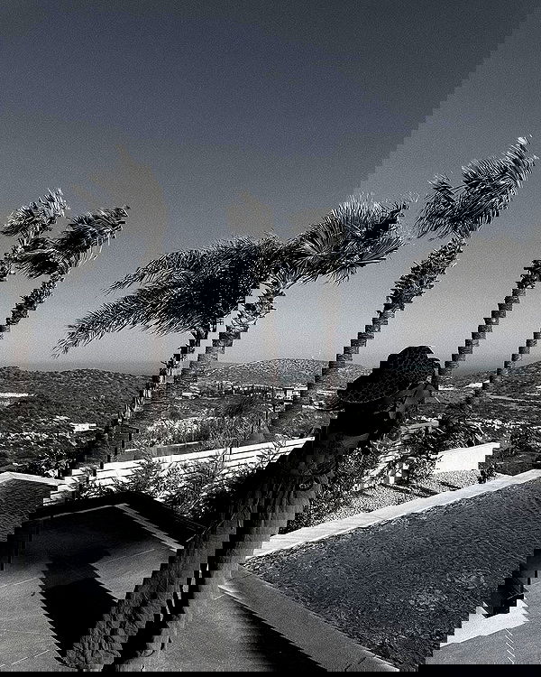 meleeva meleeva archive image