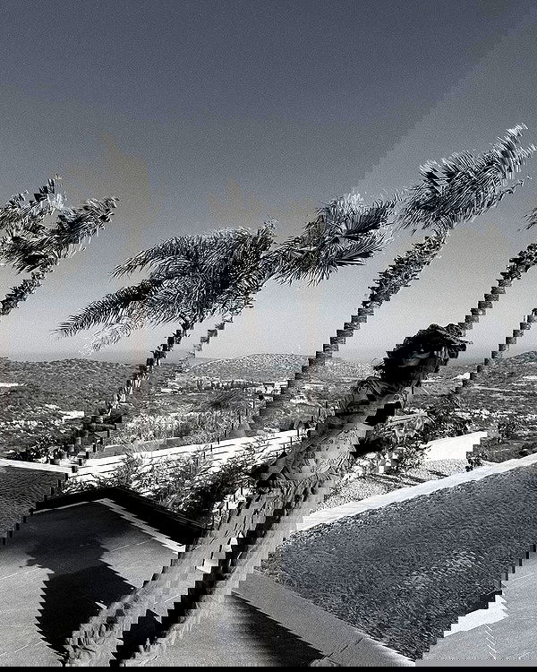 meleeva meleeva archive image