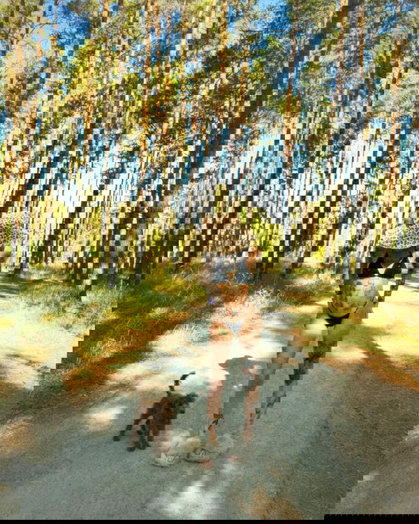 meleeva meleeva archive image