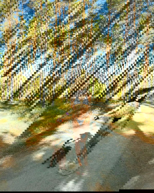 meleeva meleeva archive image