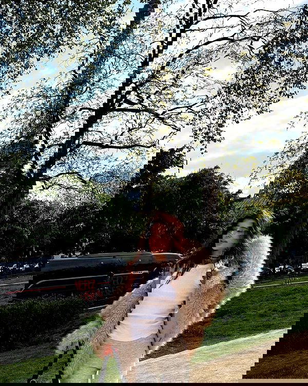 meleeva meleeva archive image