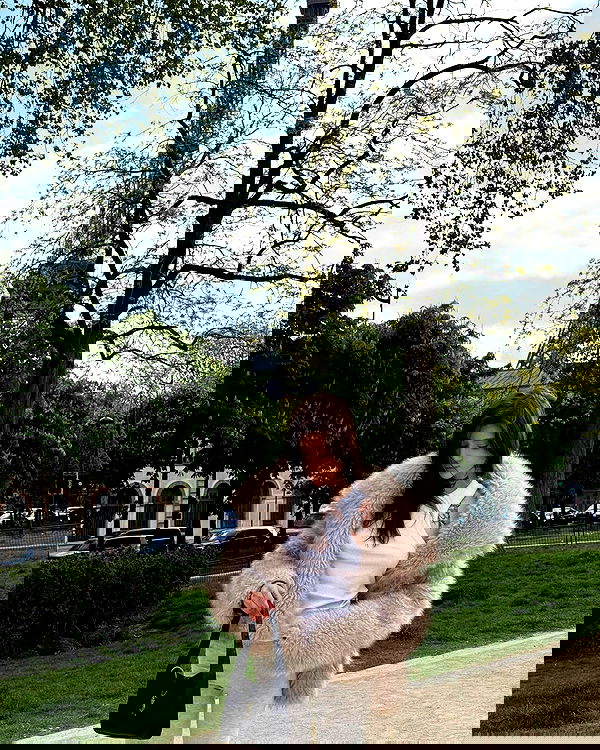 meleeva meleeva archive image