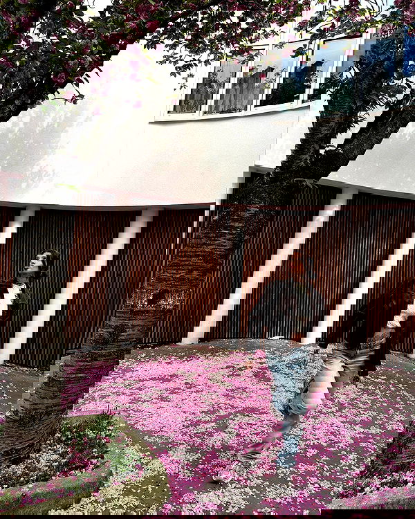 meleeva meleeva archive image