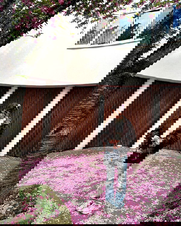 meleeva meleeva archive image