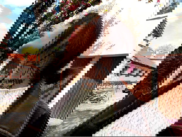 meleeva meleeva archive image