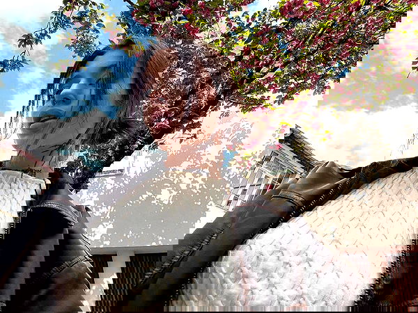 meleeva meleeva archive image