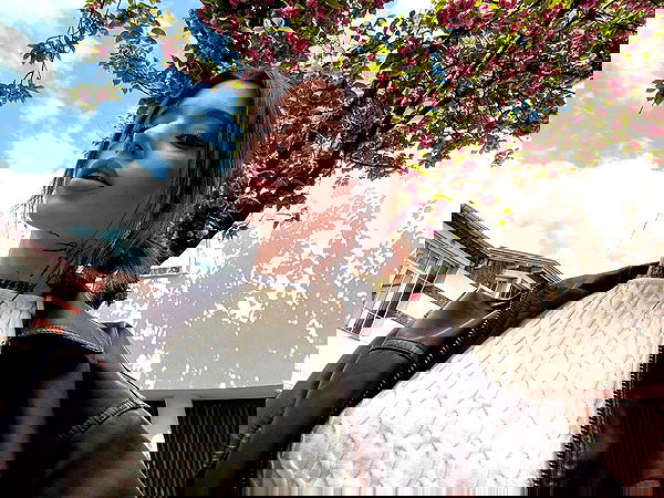 meleeva meleeva archive image