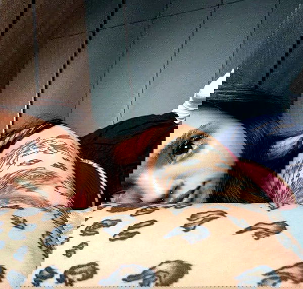 meleeva meleeva archive image