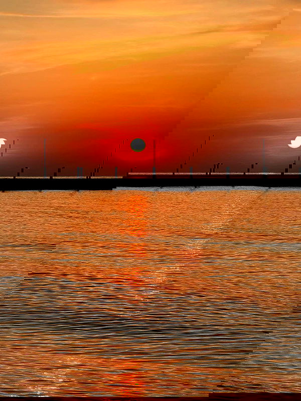 meleeva meleeva archive image