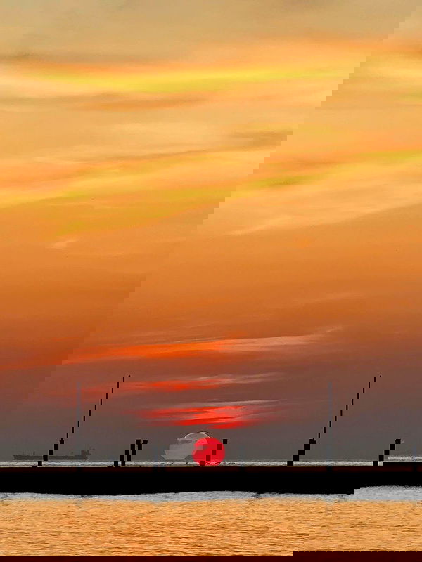 meleeva meleeva archive image