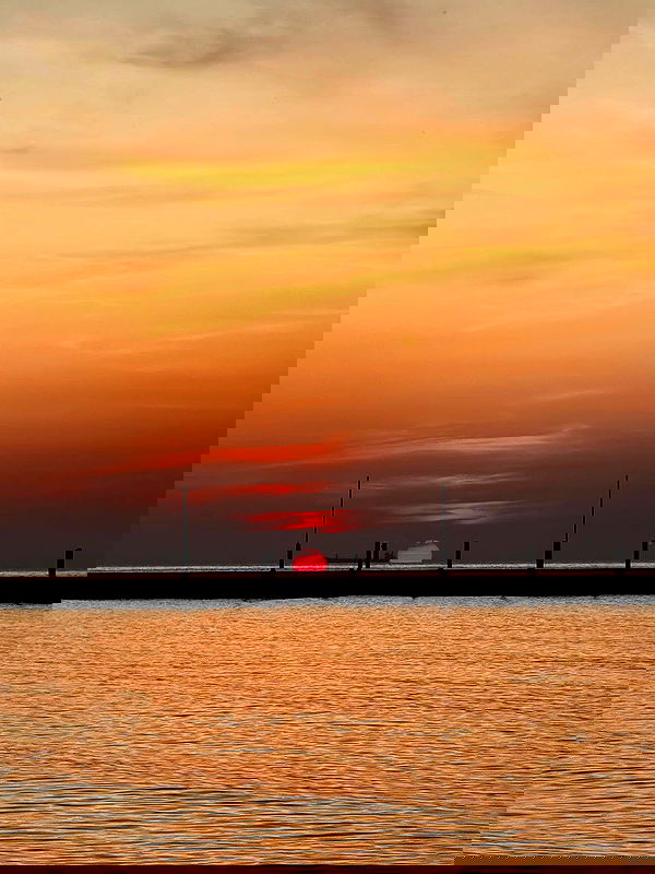 meleeva meleeva archive image