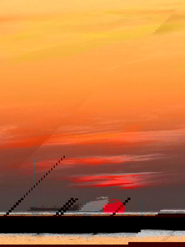 meleeva meleeva archive image