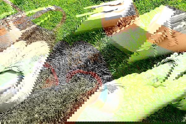 meleeva meleeva archive image