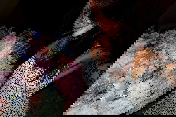 meleeva meleeva archive image