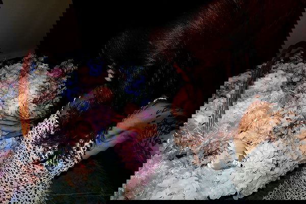 meleeva meleeva archive image