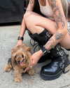 melislie Altpins Profile Picture