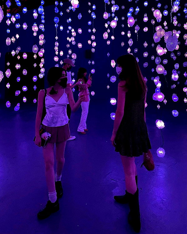 melissacollazo instagram image archive image