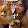 melissacollazo Altpins Profile Picture