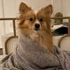melissacollazo Altpins Profile Picture