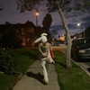 melissacollazo Altpins Profile Picture