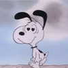 melissacollazo Altpins Profile Picture