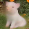melissacollazo Altpins Profile Picture