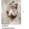 melissacollazo Altpins Profile Picture