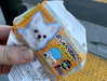 melissacollazo Altpins Profile Picture