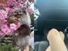 melissacollazo Altpins Profile Picture