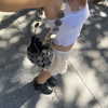 melissacollazo Altpins Profile Picture
