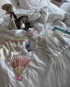 melissacollazo Altpins Profile Picture
