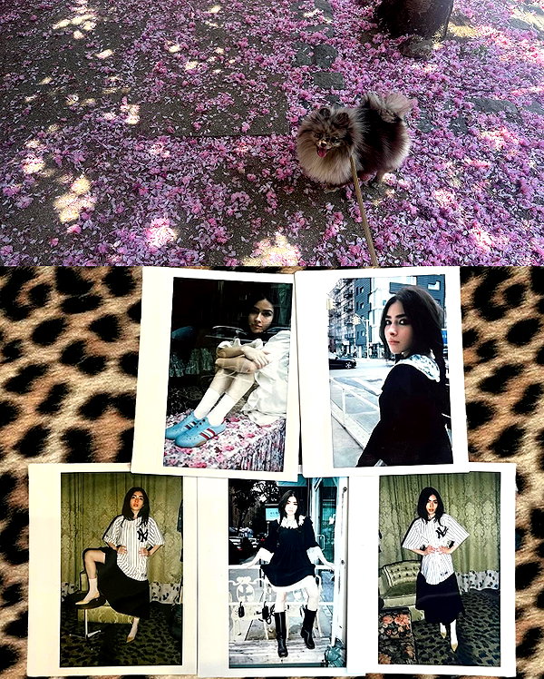 melissacollazo melissacollazo archive image