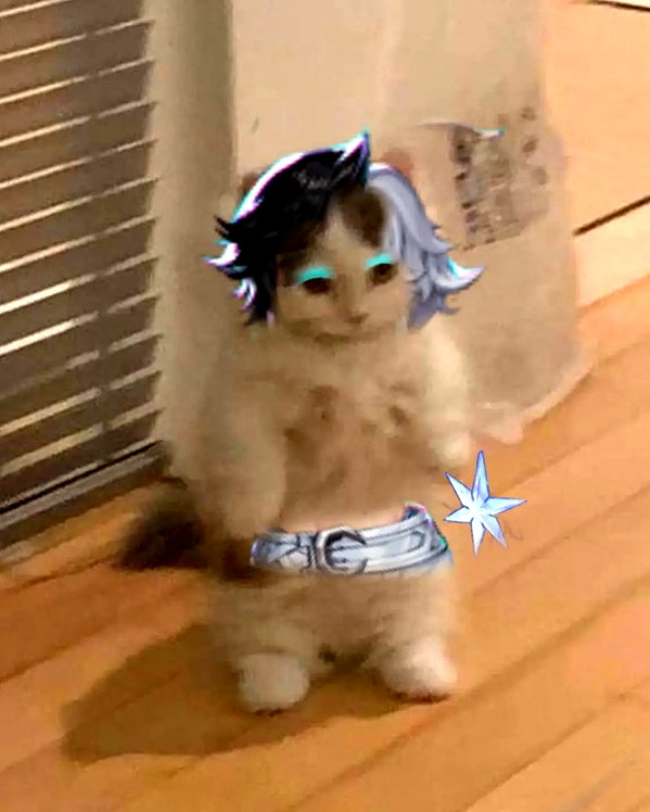 melondoki instagram image archive image