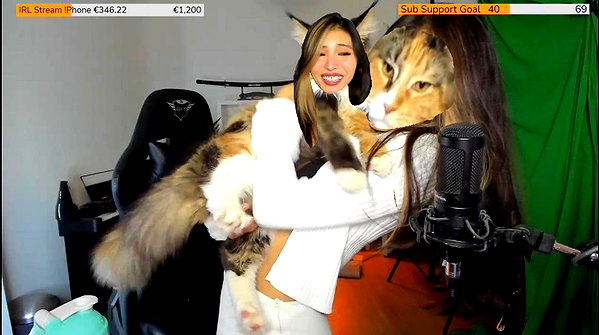 meowkuzalol meowkuzalol archive image