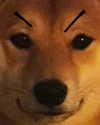 meowriexists Altpins Profile Picture