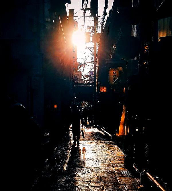 meowriexists instagram image archive image