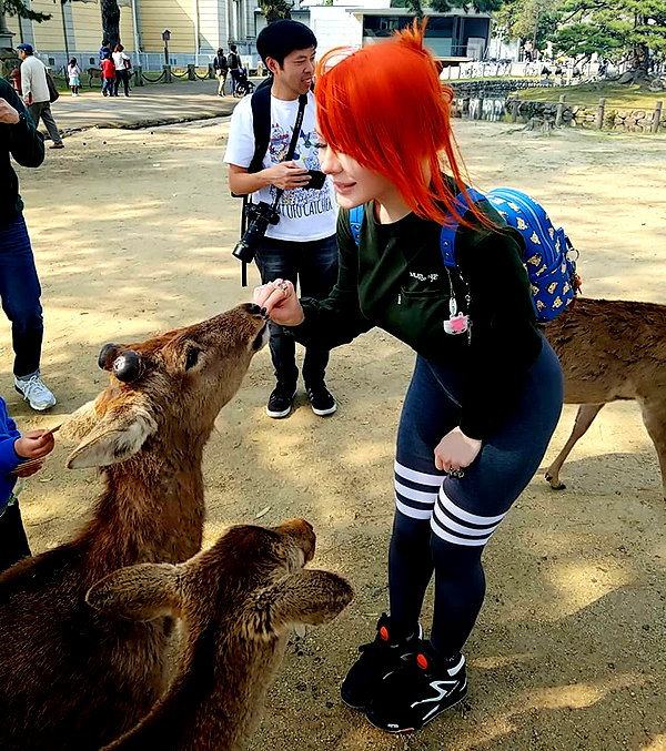 meowriexists instagram image archive image