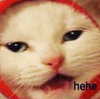 meowriexists Altpins Profile Picture