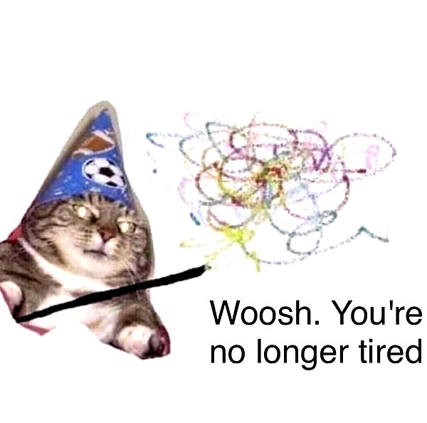 meowriexists instagram image archive image