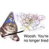 meowriexists Altpins Profile Picture