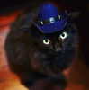 meowriexists Altpins Profile Picture