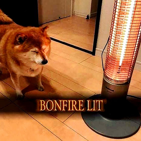 meowriexists instagram image archive image